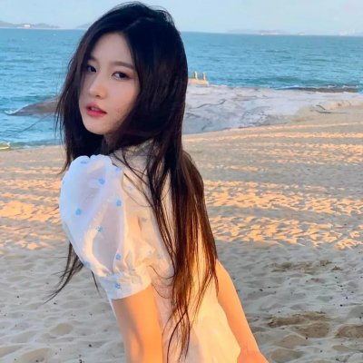 倒霉熊的杯子之旅